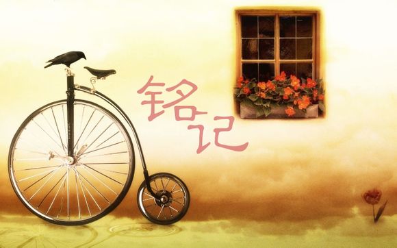 战女神zero赛利卡加点