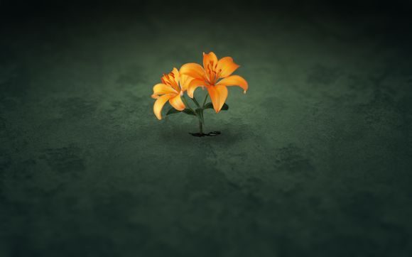 荣誉勋章血战太平洋秘籍无效