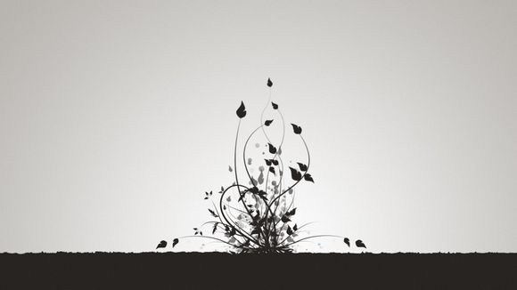 暴走英雄坛暗号最新2022年9月