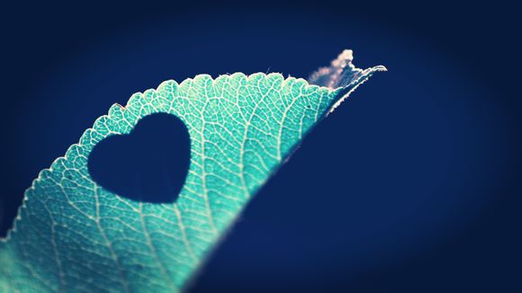 秦时明月卡牌版兑换码2023