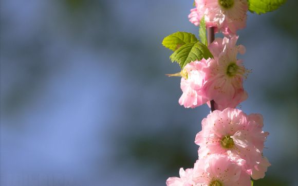 ea泰坦二怎么把界面变成中文